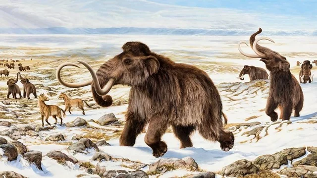 4.000 a.C. Desaparición de los mamuts de Wrangel