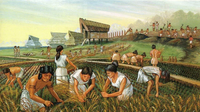 9.000 a.C. Domesticación del trigo y las cabras