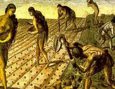 8.000 a.C. Domesticación de los guisantes y las lentejas