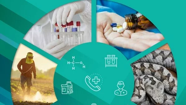 EDAD CONTEMPORANEA: Desarrollo de la Toxicología