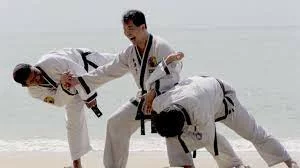 Hapkido