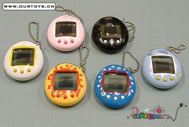 electronic pet, vidicon, Polaroid camera