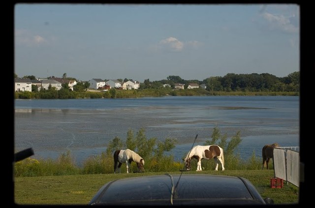i moved from Round Lake Beach Illinois.