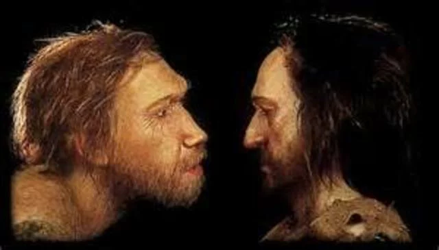 neandertales por sapiens (30.000 a,C)