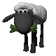 Black sheep eating grass 246252