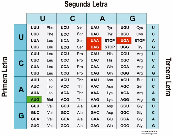 Código genético