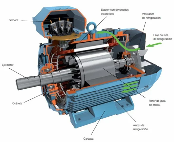 electric motor