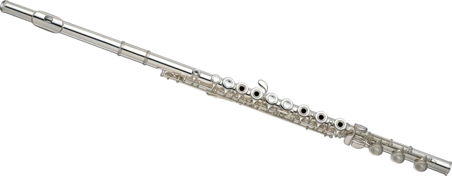 First flute performance