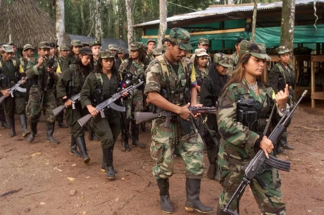 Frentes Guerrilleros.