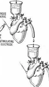 Experimentando