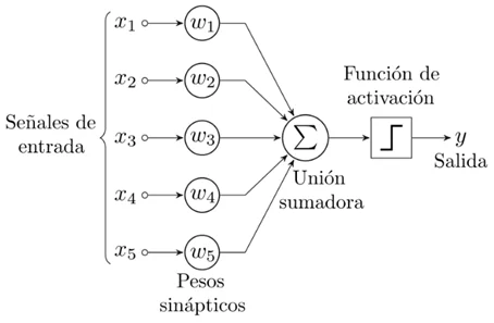 Salida de "Perceptriones".