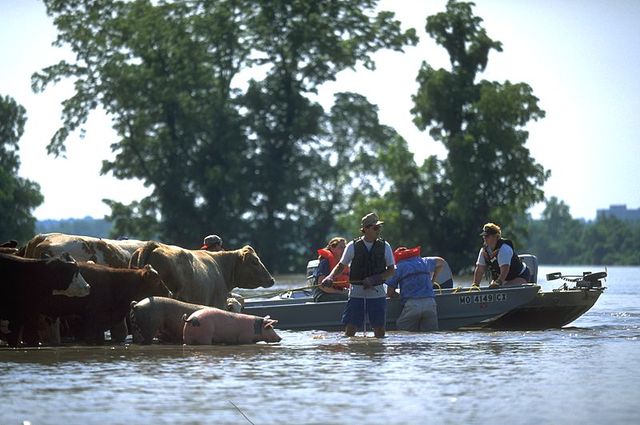 The Midwest Floods of 1993