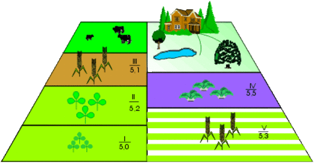 Four-Field Crop Rotation System