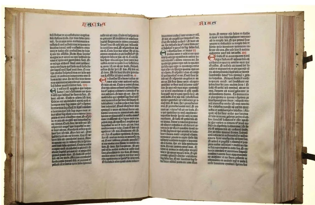 El libro tipográfico