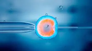 Vida in vitro