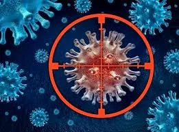 Targeted Cancer Therapies