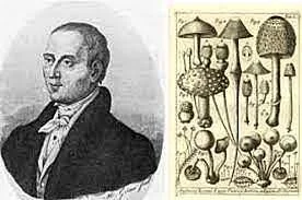 LA TEORÍA MICROBIANA SIN PASTEUR Y KOCH