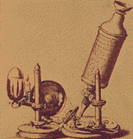 First Microscope