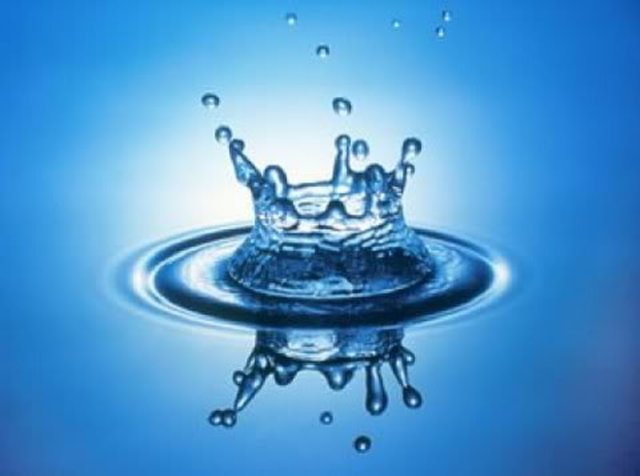 Karl Lashely publishes 'The problem of serial order in behaviour'