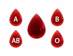 ABO Blood Groups Discovered