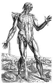 1350 - 1650 A.D. Renaissance