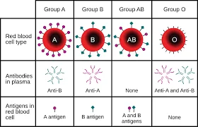 Blood groups