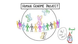 human genome project completed