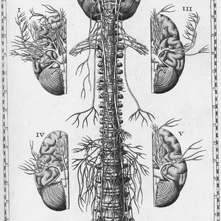 Bartolommeo eustachio