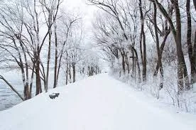 Discovering the snow