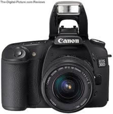 Yo tomé los fotos en la piscina.