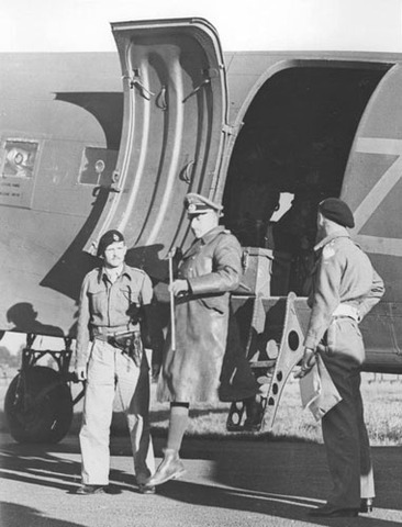 Axis forces in North Africa surrender.