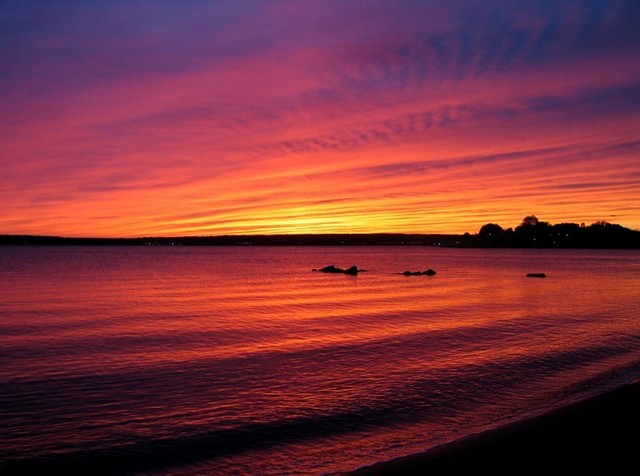 Move away from Chicago, and go somewhere warm