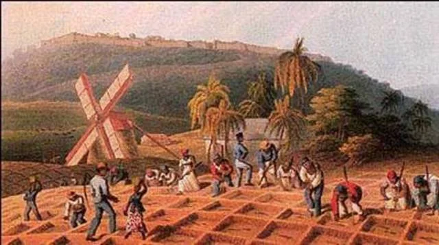 Diversos tipos de tenencia de la tierra