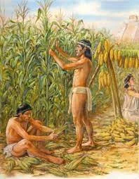 Organización agraria de los mayas