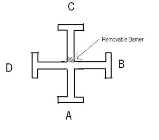 Tolman's idea of a cognitive map