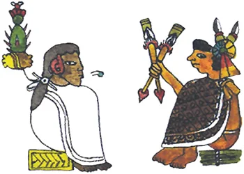 Organización social y política