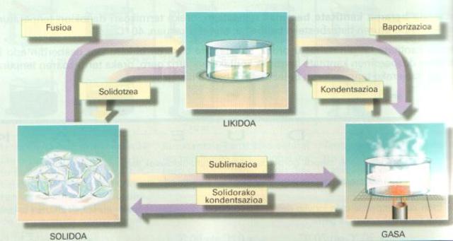 Beroa eta tenperatura