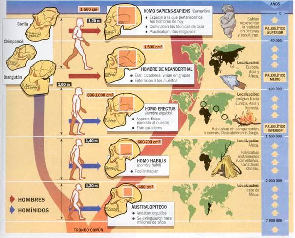 La Ascendencia del hombre