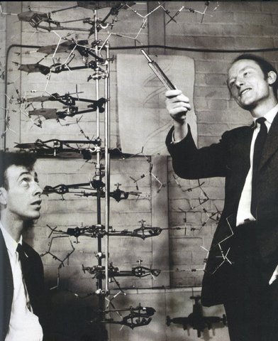 Ανακάλυψη δομής της διπλής έλικας