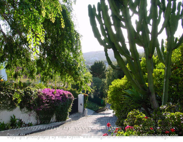 Hope to live in a nice neighborhood