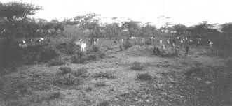 Ley sobre ocupación y Enajenación de Terrenos Baldíos