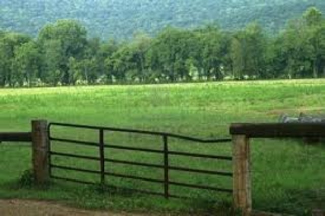 Fenced in land