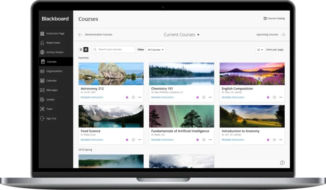 Learning Management Systems