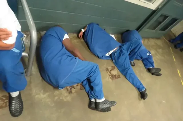 (Source) Mental illness and racial disparities in correctional staff-involved violence