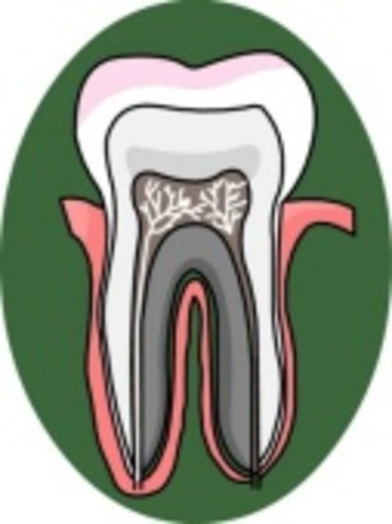 I lost my first tooth.