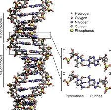 Molecular Informatics is discovered