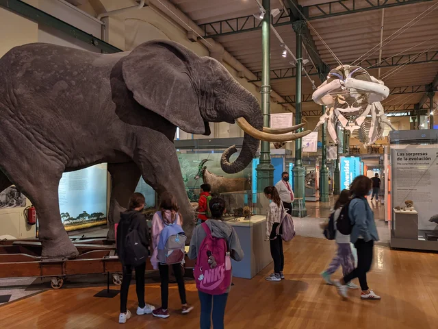 El Museo de Ciencias Naturales