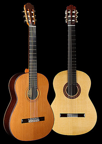 I had wanted to learn guitar for a while.