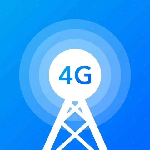 4G