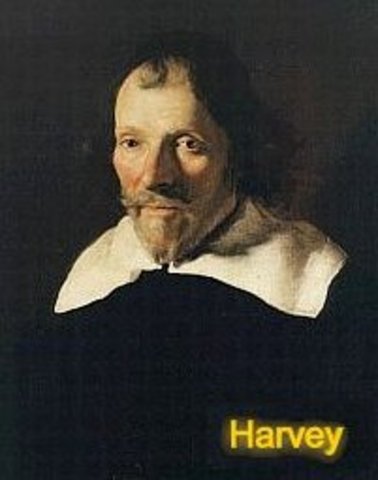 Η γέννηση του William Harvey